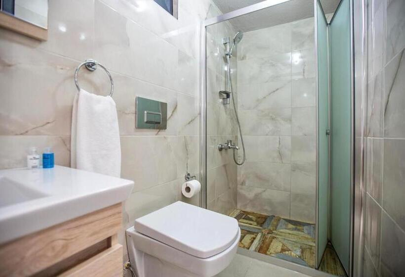 سوییت خانوادگی, Sapancaminihouse