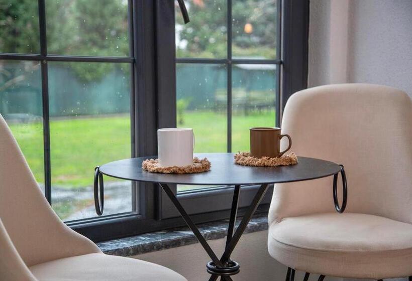 اتاق لوکس, Sapancaminihouse