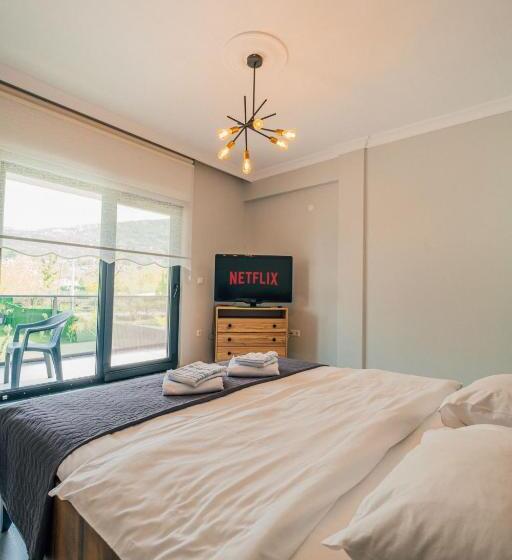 ویلای یک اتاق خوابه با استخر شنا, Sapancaminihouse