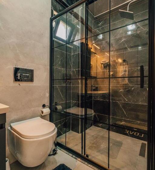 ویلای یک اتاق خوابه با استخر شنا, Sapancaminihouse