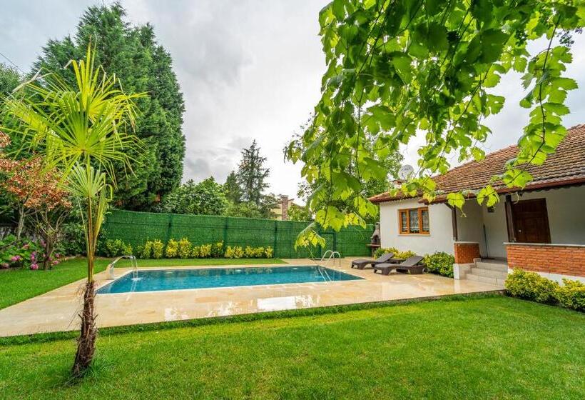 ویلای 2 خوابه, Sapancaminihouse