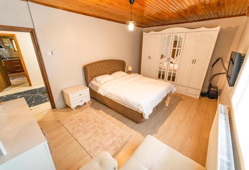 ویلای 2 خوابه, Sapancaminihouse