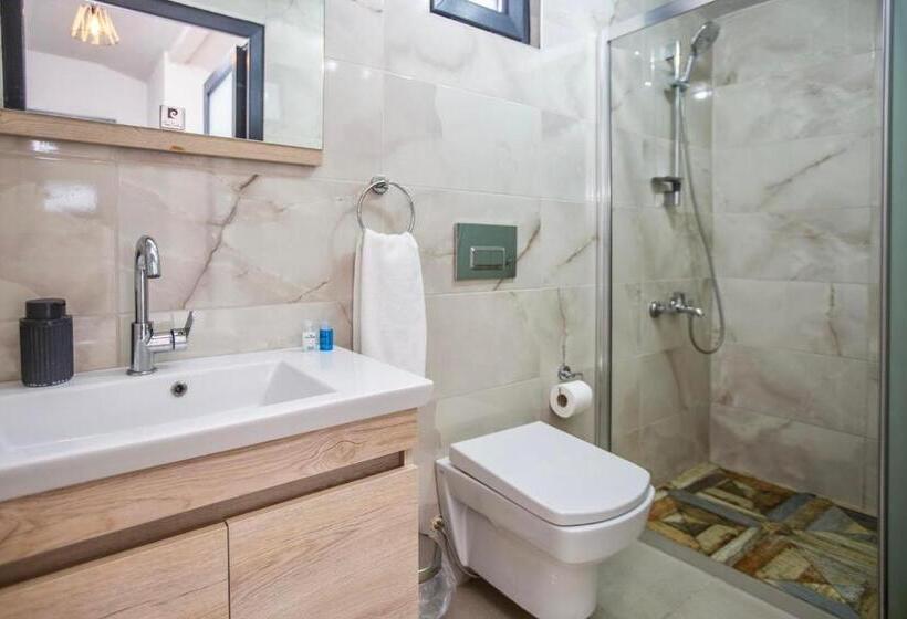 اتاق لوکس, Sapancaminihouse