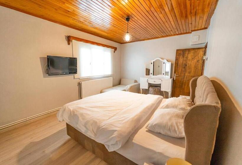 ویلای 2 خوابه, Sapancaminihouse