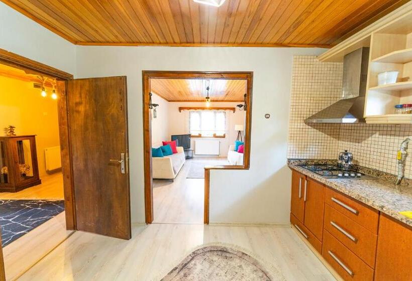 ویلای 2 خوابه, Sapancaminihouse