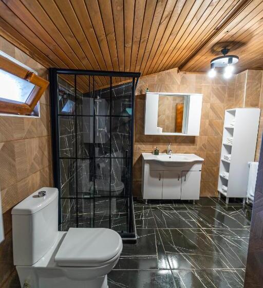 ویلای 2 خوابه, Sapancaminihouse