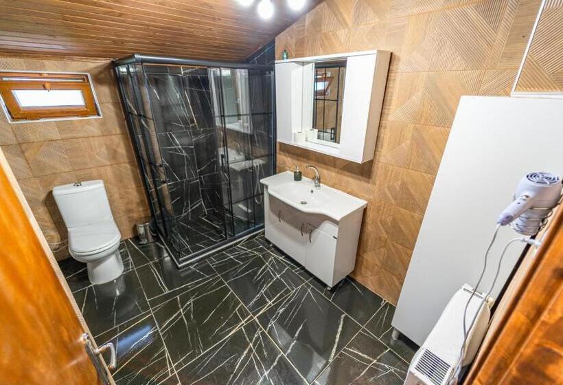 带2个卧室的别墅, Sapancaminihouse