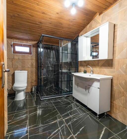 ویلای 2 خوابه, Sapancaminihouse