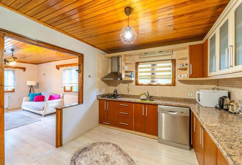 ویلای 2 خوابه, Sapancaminihouse