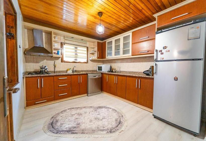 ویلای 2 خوابه, Sapancaminihouse