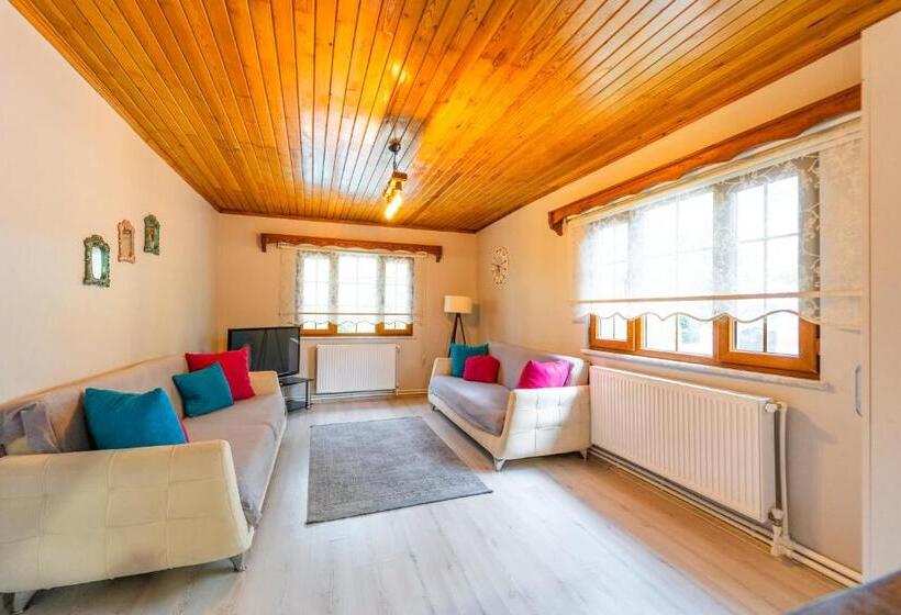 带2个卧室的别墅, Sapancaminihouse