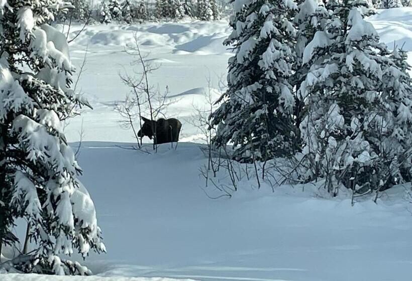 غرفة إقتصادية, Copperville B & B