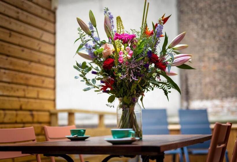 带阳台套房, Anna Van Chiel