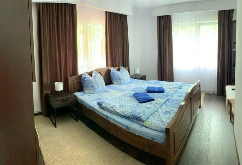 חדר סטנדרט נוף להרים, Pensiunea Grapini