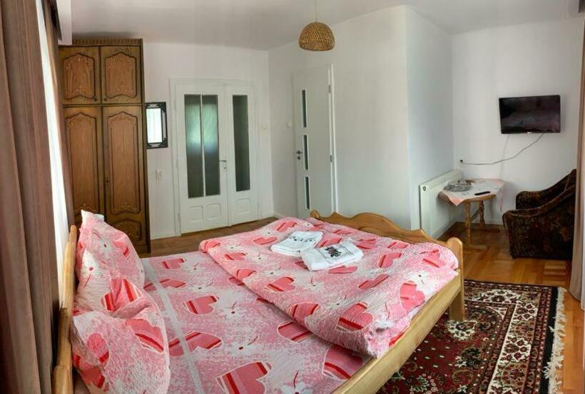 اتاق استاندارد با چشم‌انداز کوهستان, Pensiunea Grapini