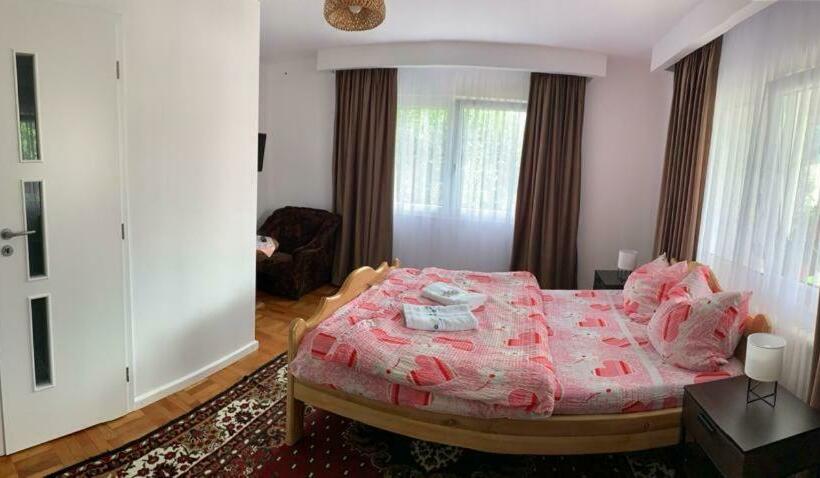 חדר סטנדרט נוף להרים, Pensiunea Grapini