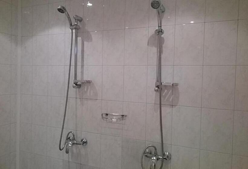 اتاق استاندارد, Euro