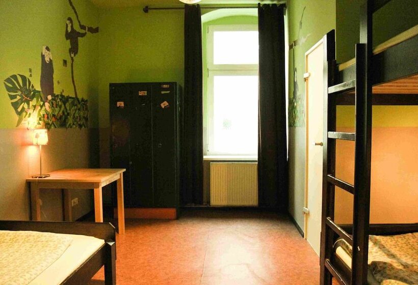 تختخواب در اتاق مشترک, Sunflower Hostel Berlin