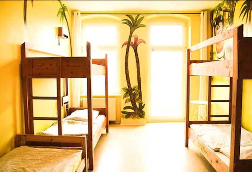 تختخواب در اتاق مشترک, Sunflower Hostel Berlin