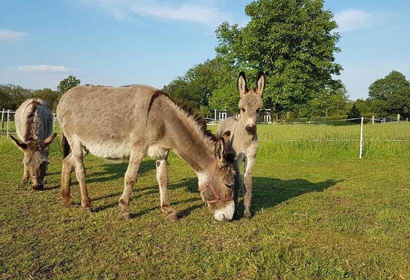 キングサイズベッドのデラックスルーム, B&b Gebakhuus