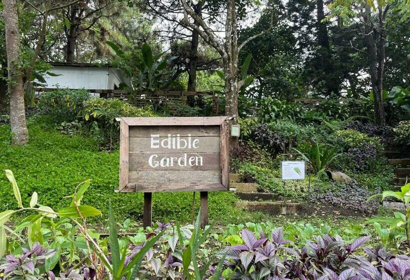 استودیو استاندارد با بالکن, Casa Ayesha Sweet Staycation At La Bella Tagaytay