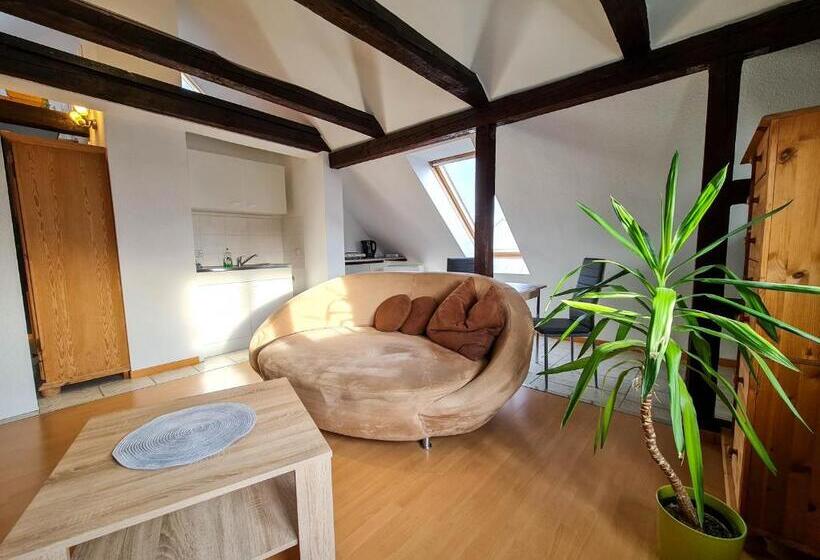 Апартаменты 1 Спальня, Pension Zum Holzwurm Wittenberge