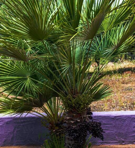 디럭스 룸, Funtana E Mari