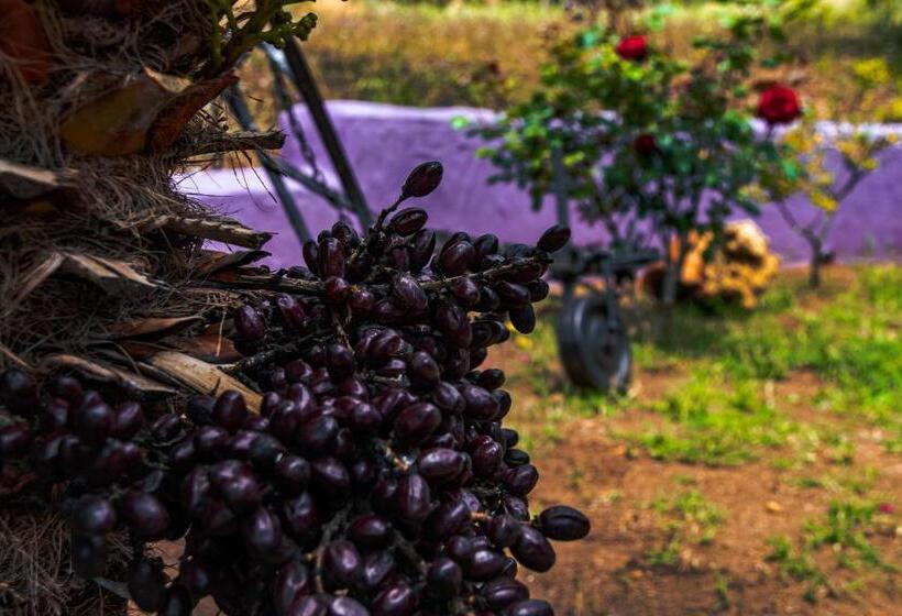 디럭스 룸, Funtana E Mari