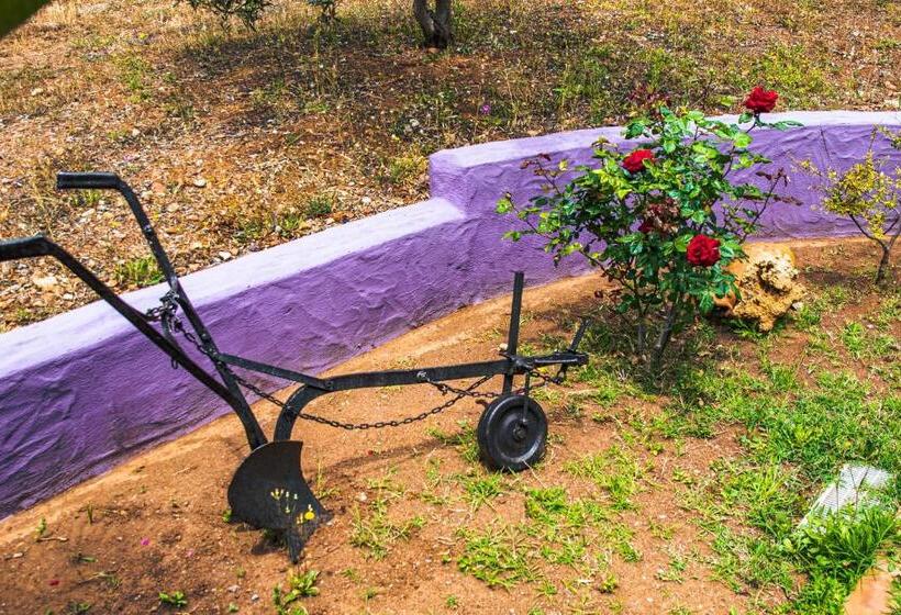 스탠다드 룸, Funtana E Mari