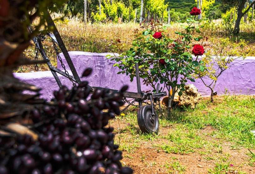 스탠다드 룸, Funtana E Mari