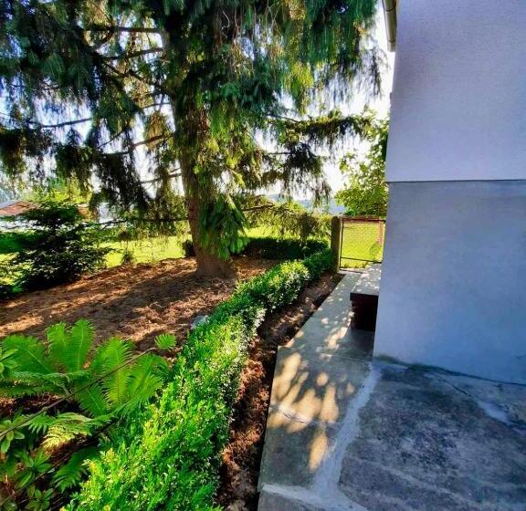 اتاق لوکس خانوادگی, Rooms Optim