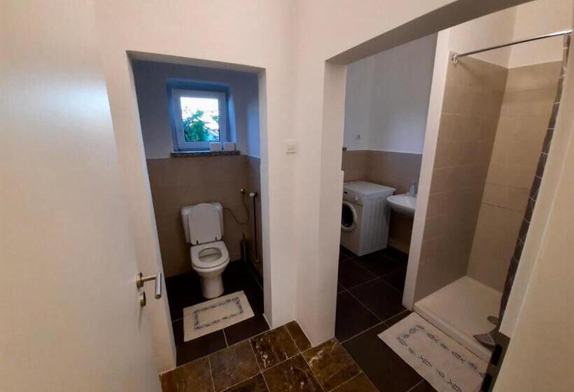 اتاق لوکس خانوادگی, Rooms Optim