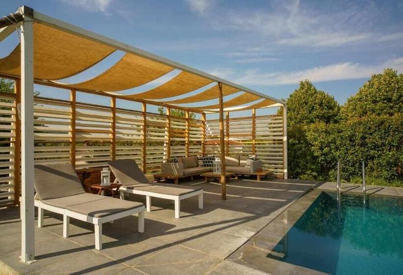 Номер Deluxe, Alba Morus Bed E Breakfast Sentiti A Casa Nel Cuore Della Toscana