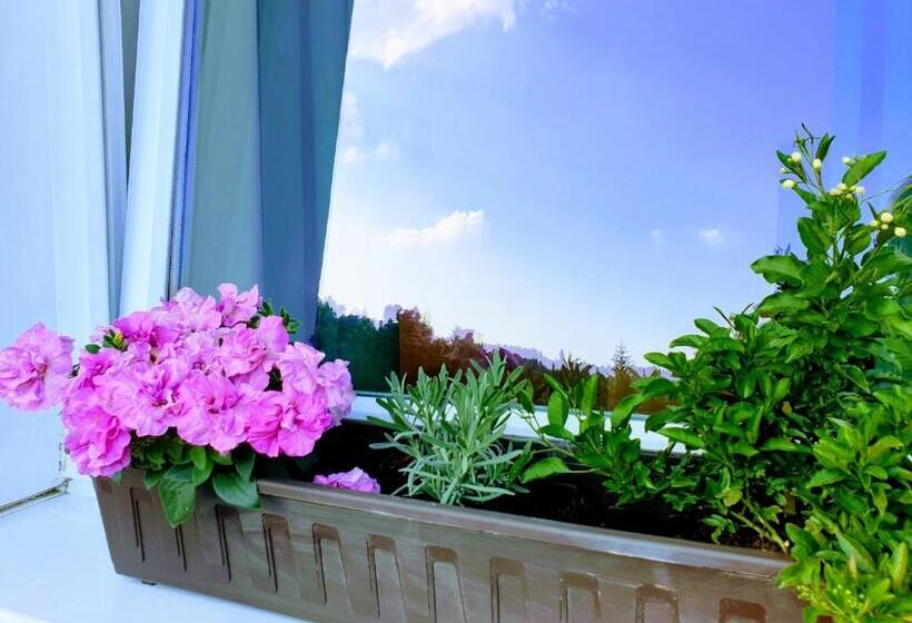 Трехместный Номер Комфорт, Penzion Lumis