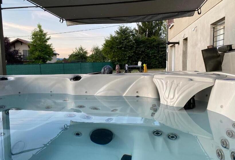Апартаменты 1 Спальня Нижний Этаж, L Entre 2 Lyon Grenoble   Villa Avec Jacuzzi