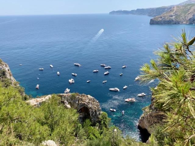 ویلای یک اتاق خوابه با استخر شنا, La Vista Al Mar