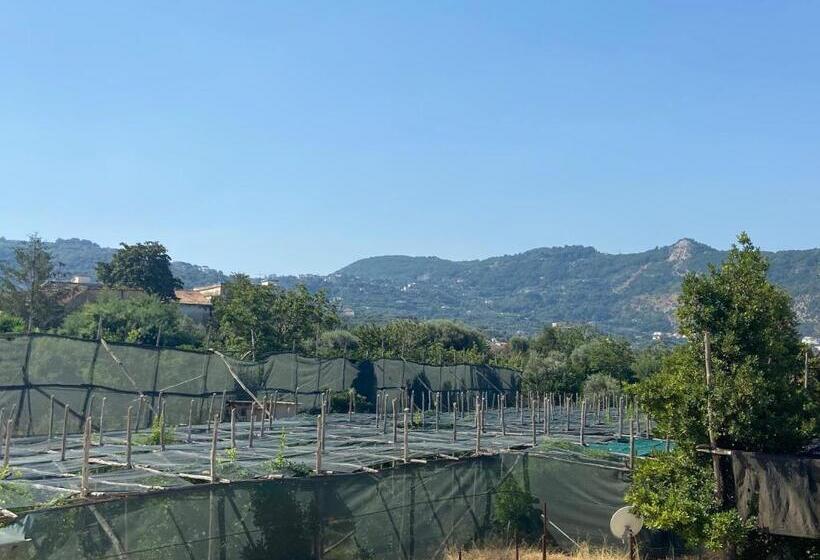 غرفة ديلوكس, Pianohome Sorrento