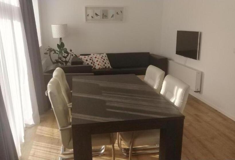 テラス付きスタンダードワンルーム, Studio@domburg