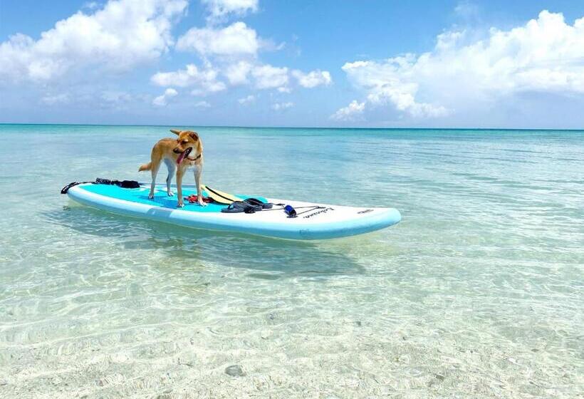 1ベッドルームハウス, Yadoya Lotus   Vacation Stay 34288v