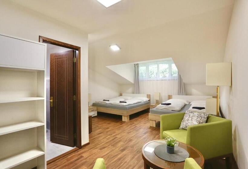 חדר סטנדרט לארבעה, Pension Lesná