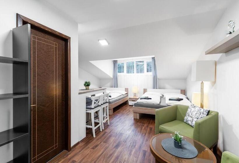 四人标准间, Pension Lesná