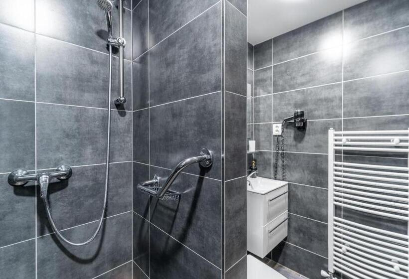 带大床的标准工作室, Pension Lesná