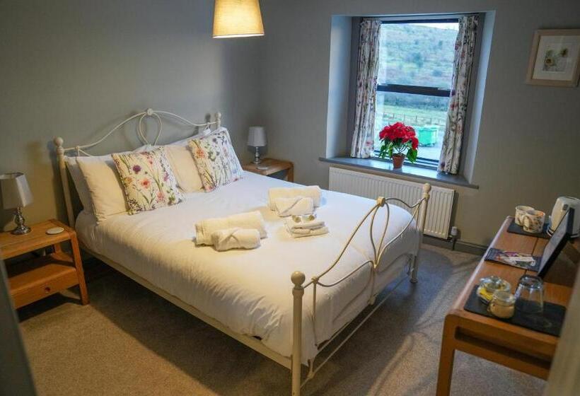 Номер Стандарт, Dartmoor Inn