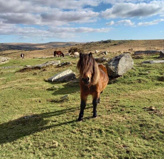 Номер Стандарт, Dartmoor Inn