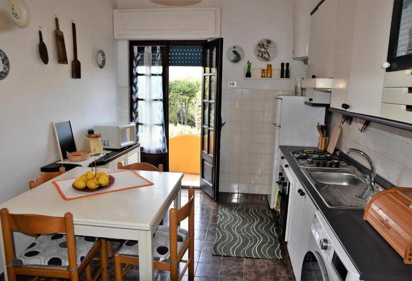 דירת חדר, Camere O Appartamento Intero In Locazione In Pittinuri