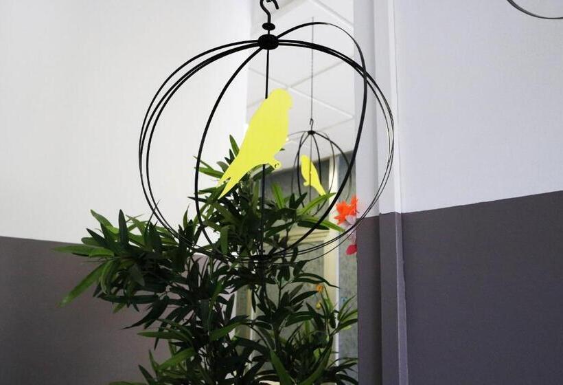 StandaardKamer, Panda Hostel