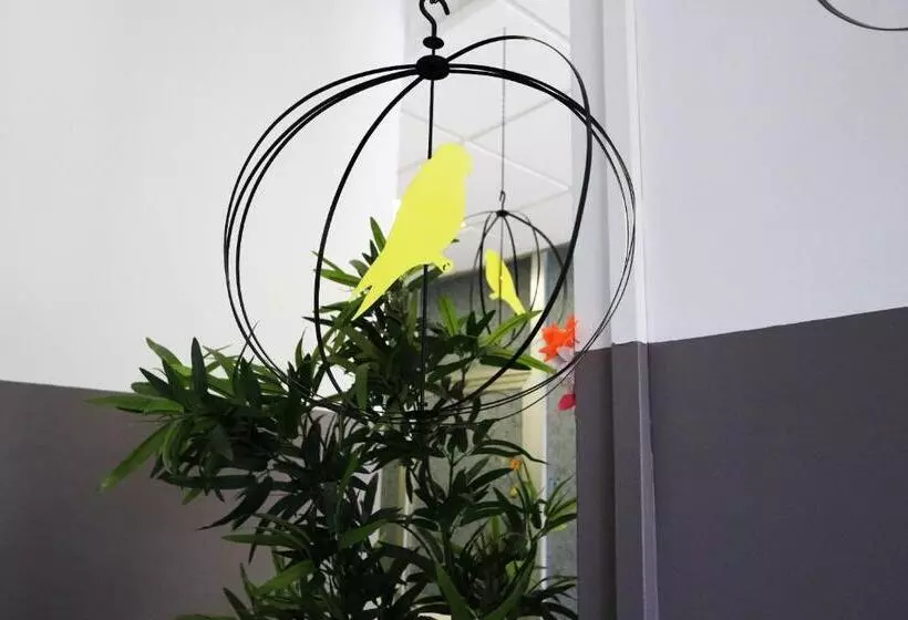 Standardzimmer, Panda Hostel