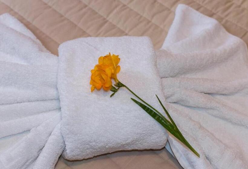 اتاق استاندارد, Paradise