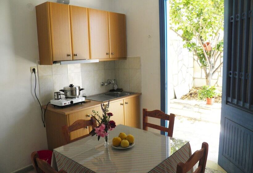 标准工作室, Rea