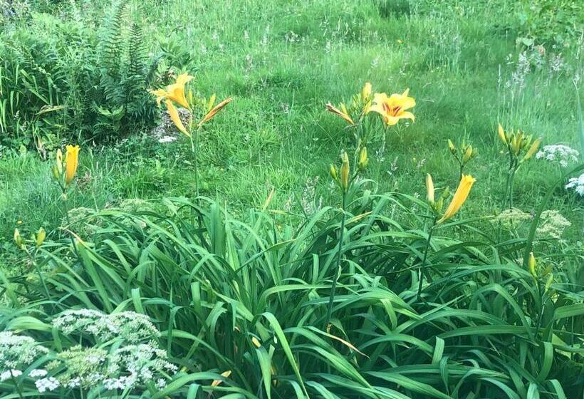 Номер Стандарт, Foresters Lodge Bed And Breakfast, Near Loch Ness